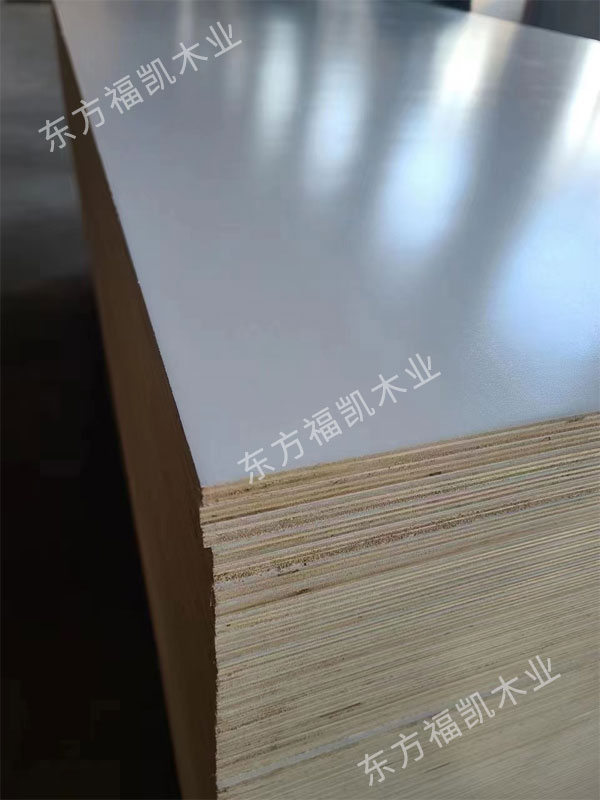 全樺木膠合板UV白漆-3