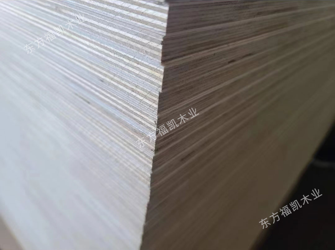 全樺木膠合板UV白漆-4